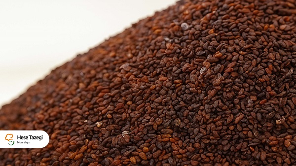فواید_بارهنگ_چیست_حس_تازگی_1